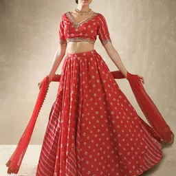 Renee Label Embroidered Beads and Stones Ready to Wear Lehenga & Blouse With Dupatta-17