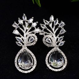 Zoey Silver Plated Cubic Zirconia Drop Earrings-18