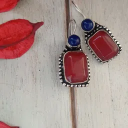 Binnis Wardrobe Red & Blue Contemporary Drop Earrings-35