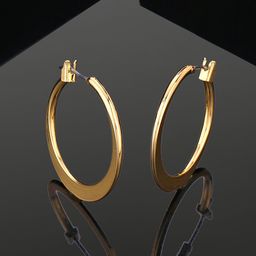 Estele Gold Plated Circular Hoop Earrings-50