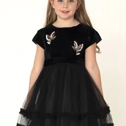 Cherry Crumble Girls Black Embellished Net & Velvet Finish Fit & Flare Dress-picture-57