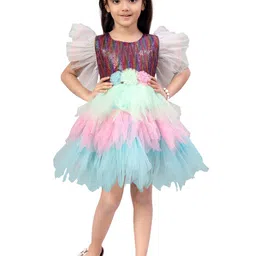 Aarika Girls Sequinned Embellished Flutter Sleeves Net Fit & Flare Dress-18