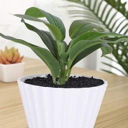 Kuber Industries Green & White Artificial Plant With Pot-60