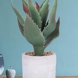 Kuber Industries Green & White Artificial Succulent Plant With Pot-23