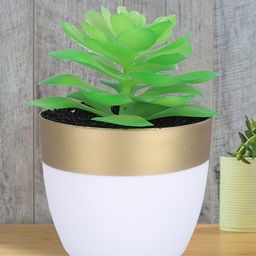 Kuber Industries Green & White Artificial Succulent Plant With Pot-22