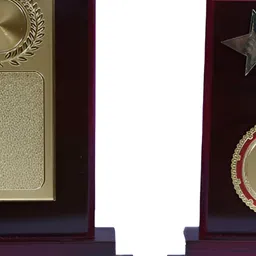 Sigaram Maroon & Beige 2 Pieces Trophy Curio Showpieces-picture-36