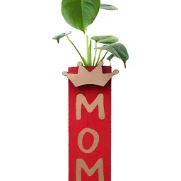 VAH Kya Bat Hai !! Red &  Cream Coloured Printed Wooden Flower Pot Holder-35
