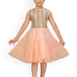 Aarika Peach-Coloured Net Fit & Flare Dress-81