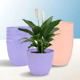Kuber Industries Purple & Peach 12 Pieces Marble Cool Planters-image-12
