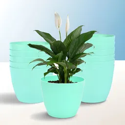Kuber Industries Green 12 Pieces Lightweight Planters-image-91