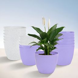 Kuber Industries Purple & White 18 Pieces Marble Finish Planters-89