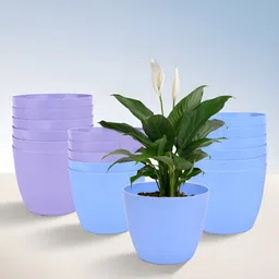 Kuber Industries Blue & Purple 18 Pieces Lightweight Planters-82