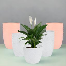 Kuber Industries White & Peach 24 Pieces Marble Planters-28