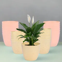Kuber Industries Beige & Peach 24 Pieces Marble Planters-77