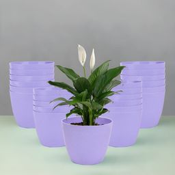 Kuber Industries Marble Cool Purple 24 Pieces Lightweight Planters-image-95