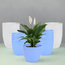 Kuber Industries Marble Cool Blue & White 24 Pieces Lightweight Planters-15