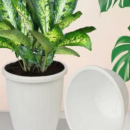 Kuber Industries White 5 Pieces Flower Planter-1