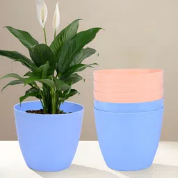 Kuber Industries Blue & Peach 6 Pieces  Lightweight Planters-image-91