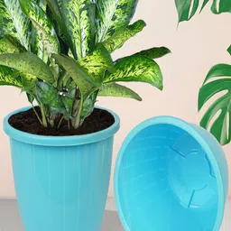 Kuber Industries Blue 6 Pieces Indoor Planters-image-34