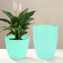 Kuber Industries Marble Cool Green 6 Pieces Lightweight Planters-image-89