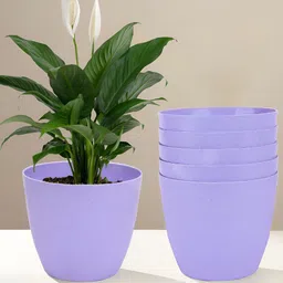 Kuber Industries Marble Cool 6 Pieces Purple Lightweight Planters-18