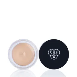 PAC Long-Wearing Studio HD Concealer 12 g - Pinewood-25