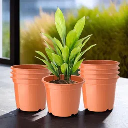 Kuber Industries Pack Of 8 Orange-Colored Planters-56