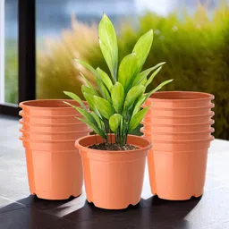 Kuber Industries Orange-Coloured Set Of 12 Plastic Planters-3