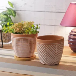 TAYHAA Set Of 2 Brown & White Textured Ceramic Planters-32