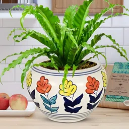 LASAKI Assorted Printed Ceramic Planters-image-36