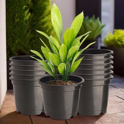 Kuber Industries Pack Of 12 Black Planters-53