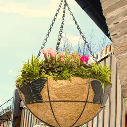 Garden Deco Black & Brown 5 Pieces Coir Hanging Basket With Chain Planters-46