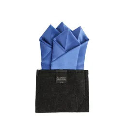 Alvaro Castagnino Men Blue Solid Pocket Squares-image-79