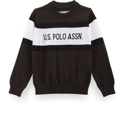 U.S. Polo Assn. Kids Boys Printed Pure Cotton Pullover-picture-26