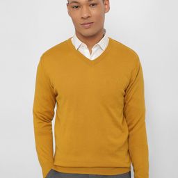 Allen Solly V-Neck Wool Acrylic Pullover-image-32