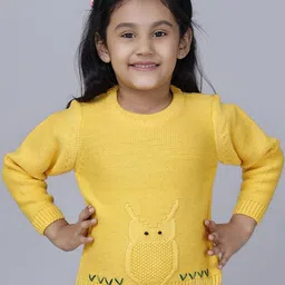JoE Hazel Girls Embroidered Detail Acrylic Pullover-image-78