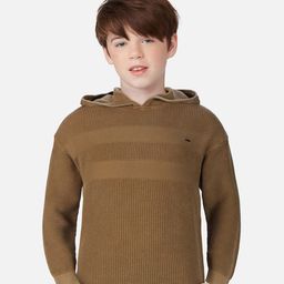 Gini and Jony Boys Brown Hooded Pullover-image-7