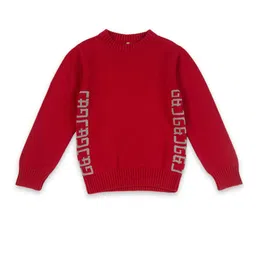 Gini and Jony Boys Typography Self Design Pullover-image-98