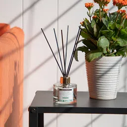 SOUL & SCENTS Transparent Citronella Reed Aroma Oil Diffuser 120 ml-4