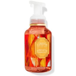 Bath & Body Works Calypso Clementine Gentle & Clean Foaming Hand Soap - 259 ml-picture-24