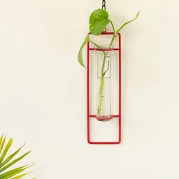 ExclusiveLane Modern Glass Garden Transparent & Red Test Tube Hanging Planter-28