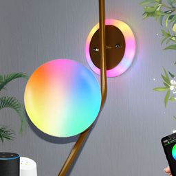 Raptors Yellow & Blue Spherical Smart Wall Lamp With Bulb-14