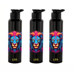 NIRLON Black 3 Pieces Printed Stainless Steel Single Wall Vacuum Water Bottles 1 L Each-image-39