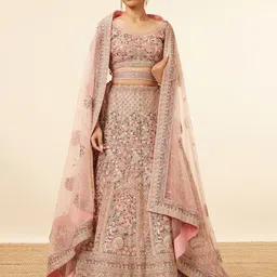 MOHEY Embroidered Net Sequinned Semi-Stitched Lehenga & Unstitched Blouse With Dupatta-29