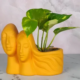LASAKI Orange Textured Ceramic Couple Lily Planter With Holder-49