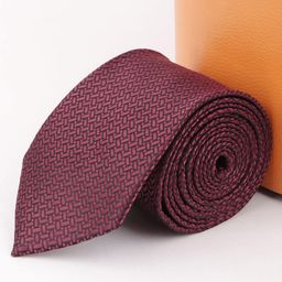Alvaro Castagnino Men Woven Design Broad Tie-picture-9