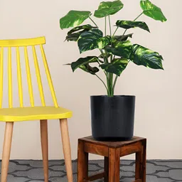 FOLIYAJ Green & Black Money Artificial Plant With Pot & Stones-image-97