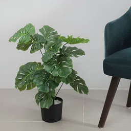 Home Bloom Green 1 Pieces Artificial Plant With Pot-image-27