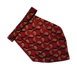 Paisley Design Cravats-image-79