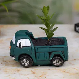 TYOOHAR Green & White Truck Shaped Indoor Pot Planter-image-2